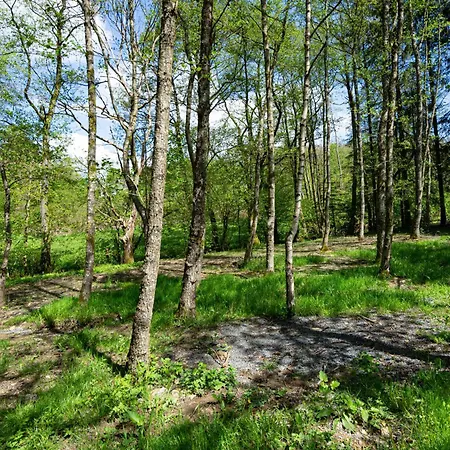 Castor Casa de Férias Saint-Hubert