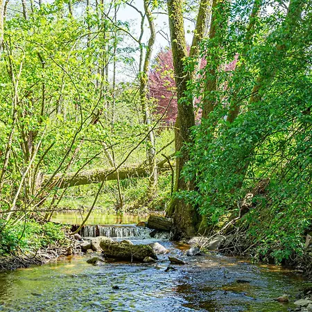 Castor Casa de Férias Saint-Hubert