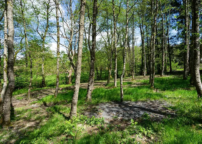 Castor Prázdninový dům Saint-Hubert