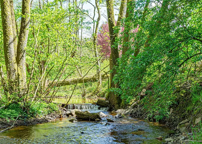 Castor Holiday home Saint-Hubert