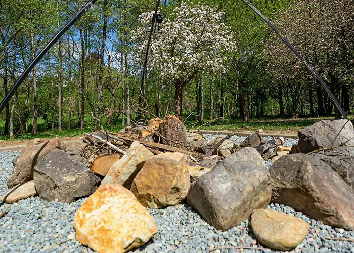 Castor * Saint-Hubert